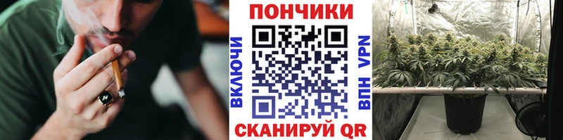 Конопля Bruce Banner Пласт